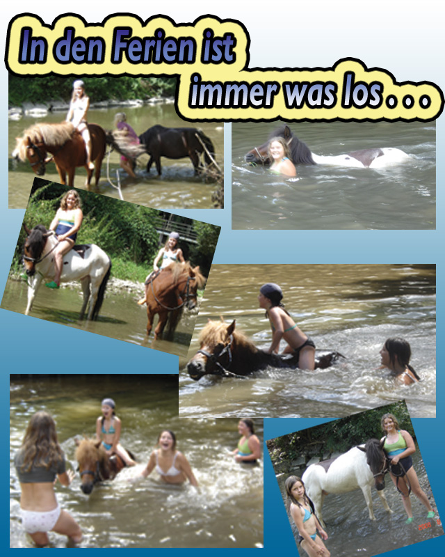 Pferdeschwimmen